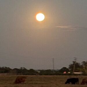 Meet your Posher, Kailey